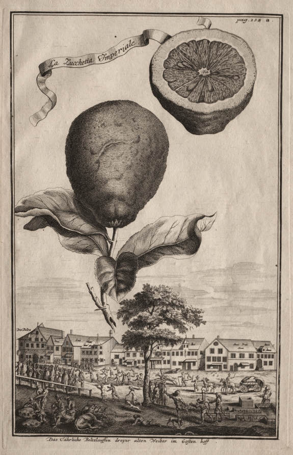 Nuremberg Hesperides: La Luchetta Imoperiale
