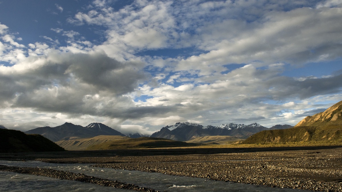 The East Fork of the Toklat River flowing through a wide mountain valley in Denali National Park and Preserve